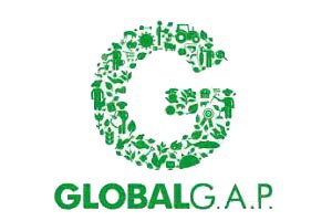 Global GAB