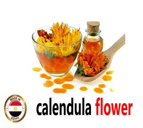 Calendula Flower