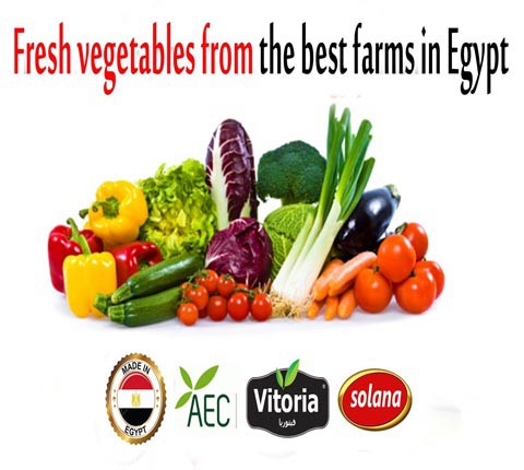 Fresh Vegetables