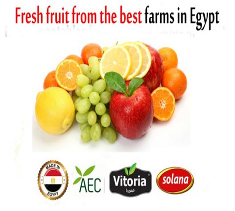 Fresh Fruit