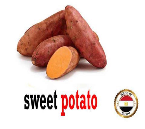 Fresh Potato