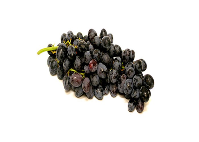 Autumn Royal Black