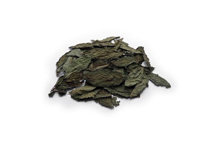 Jews mallow - Molokhia Leaves