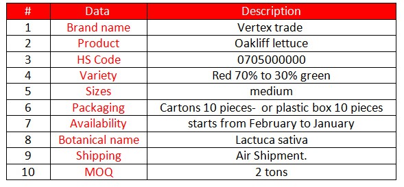 Oakliff lettuce